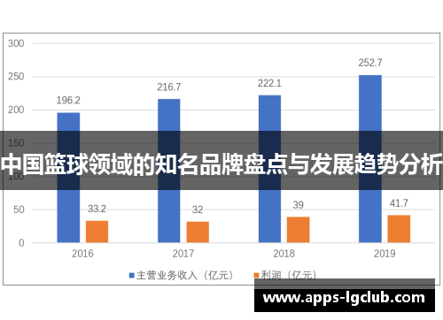 中国篮球领域的知名品牌盘点与发展趋势分析