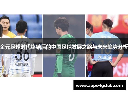 金元足球时代终结后的中国足球发展之路与未来趋势分析