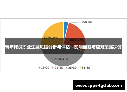 青年球员职业生涯风险分析与评估：影响因素与应对策略探讨