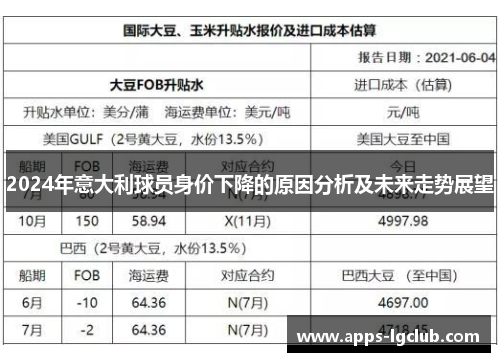 2024年意大利球员身价下降的原因分析及未来走势展望