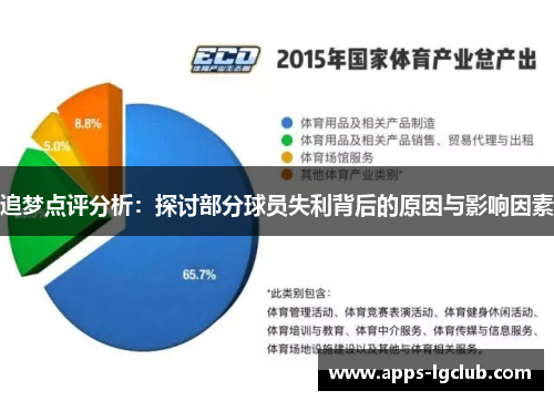 追梦点评分析：探讨部分球员失利背后的原因与影响因素