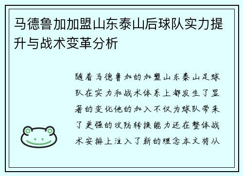 马德鲁加加盟山东泰山后球队实力提升与战术变革分析