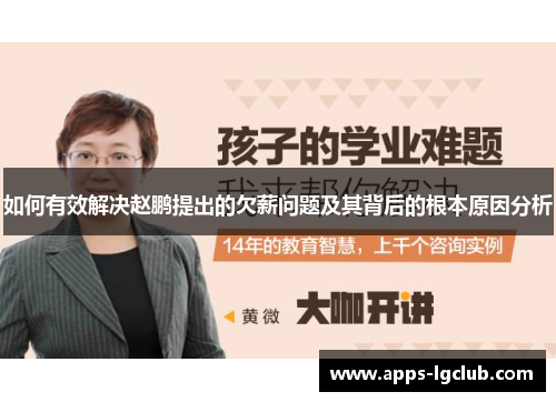 如何有效解决赵鹏提出的欠薪问题及其背后的根本原因分析