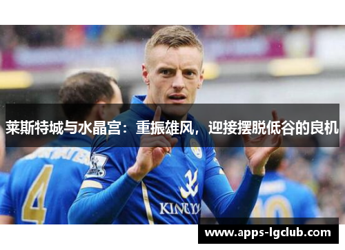 莱斯特城与水晶宫：重振雄风，迎接摆脱低谷的良机