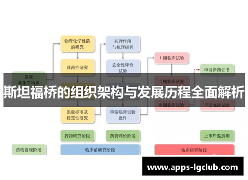 斯坦福桥的组织架构与发展历程全面解析