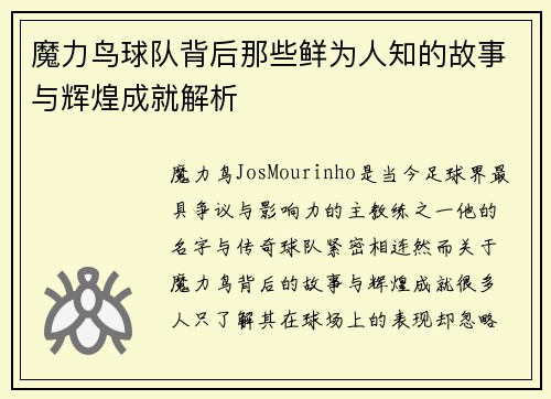 魔力鸟球队背后那些鲜为人知的故事与辉煌成就解析