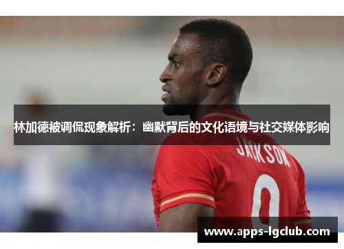 林加德被调侃现象解析：幽默背后的文化语境与社交媒体影响