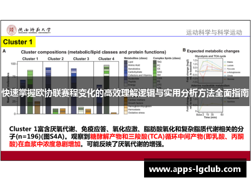 快速掌握欧协联赛程变化的高效理解逻辑与实用分析方法全面指南
