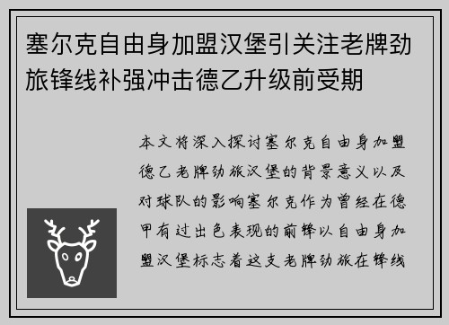 塞尔克自由身加盟汉堡引关注老牌劲旅锋线补强冲击德乙升级前受期